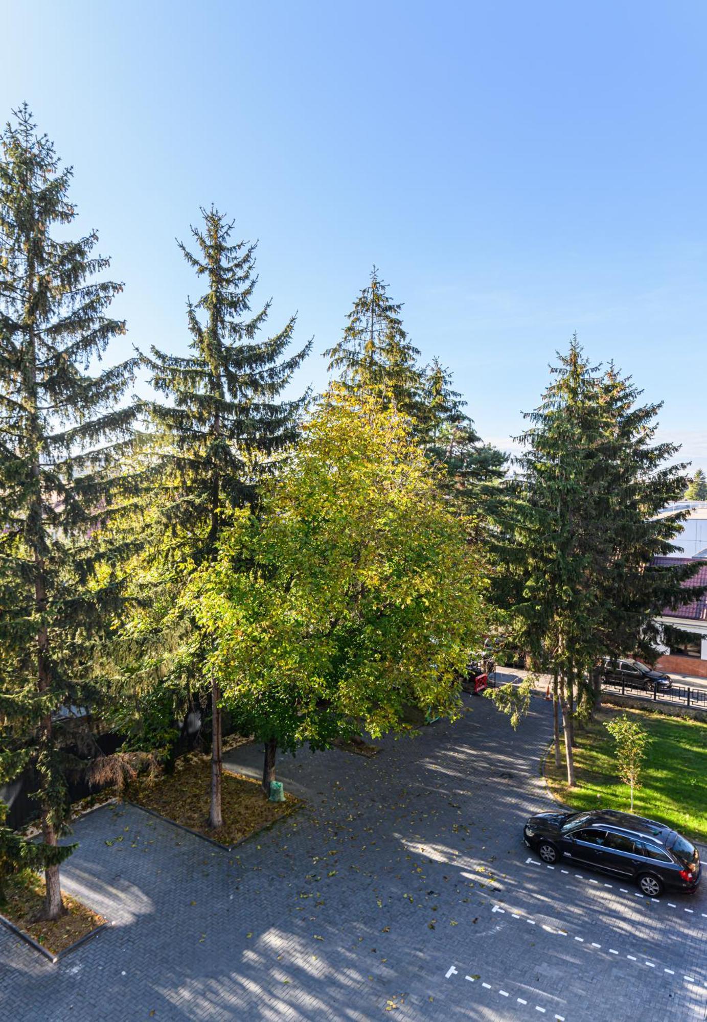 Koa - Davino Aparthotel Brasov Room photo